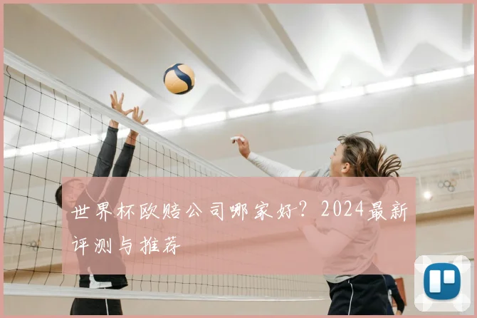 世界杯欧赔公司哪家好？2024最新评测与推荐
