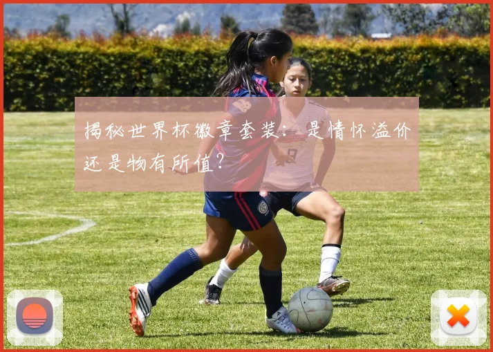 揭秘世界杯徽章套装:是情怀溢价还是物有所值?