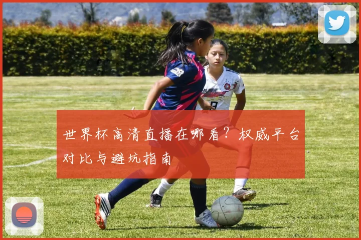 世界杯高清直播在哪看?权威平台对比与避坑指南