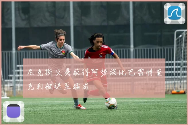 尼克斯交易获得阿努诺比巴雷特奎克利被送至猛龙