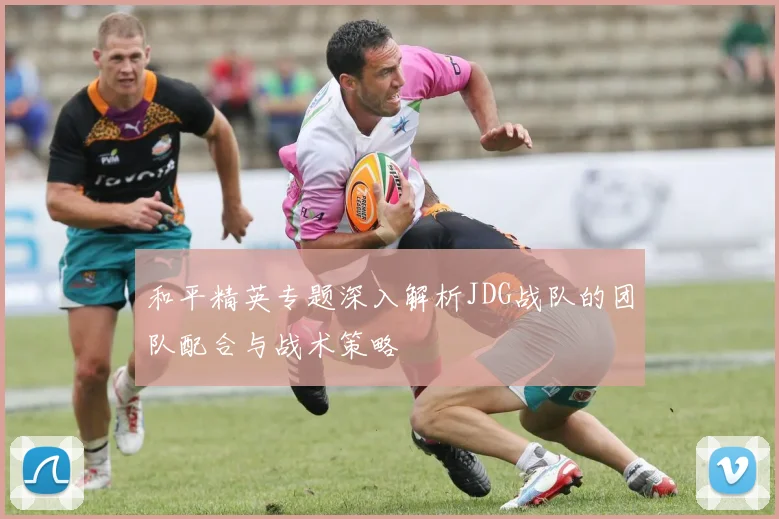 和平精英专题深入解析JDG战队的团队配合与战术策略