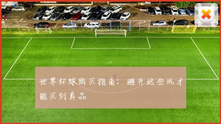 世界杯球购买指南：避开这些坑才能买到真品