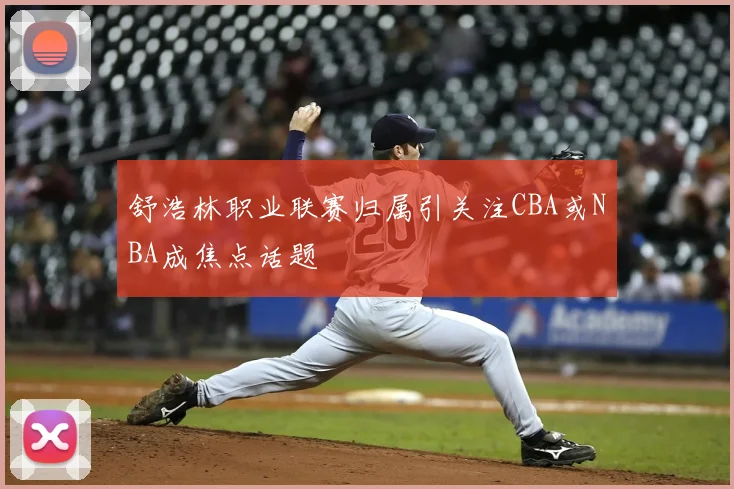 舒浩林职业联赛归属引关注CBA或NBA成焦点话题