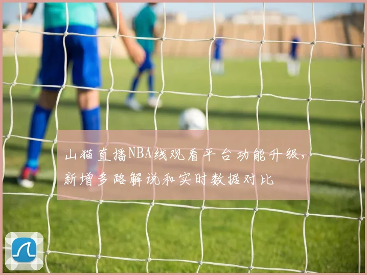 山猫直播NBA线观看平台功能升级,新增多路解说和实时数据对比