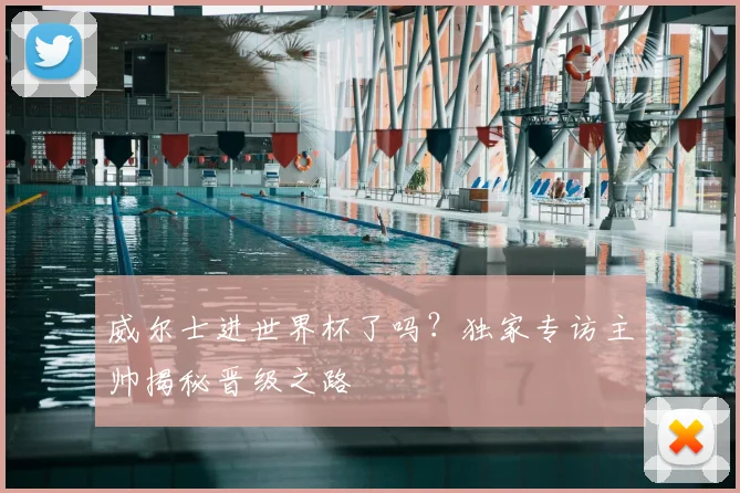 威尔士进世界杯了吗？独家专访主帅揭秘晋级之路