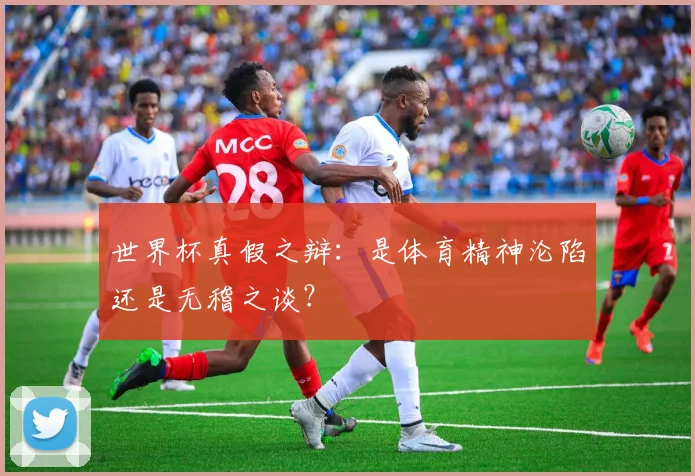 世界杯真假之辩：是体育精神沦陷还是无稽之谈？