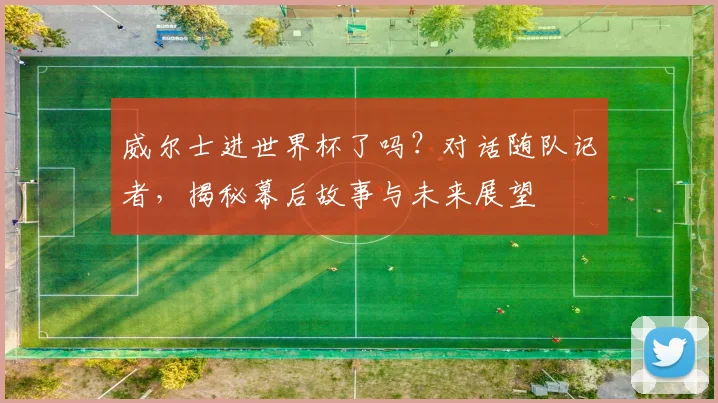 威尔士进世界杯了吗?对话随队记者,揭秘幕后故事与未来展望