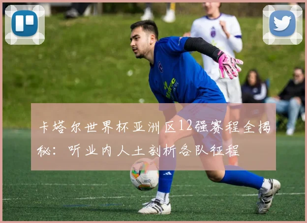 卡塔尔世界杯亚洲区12强赛程全揭秘：听业内人土剖析各队征程