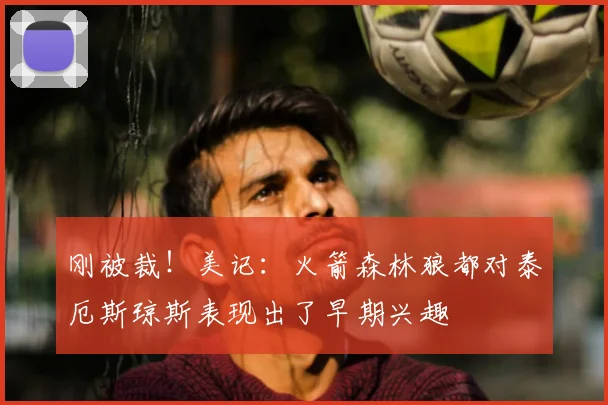 刚被裁！美记：火箭森林狼都对泰厄斯琼斯表现出了早期兴趣