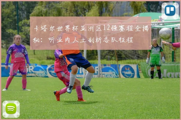 卡塔尔世界杯亚洲区12强赛程全揭秘:听业内人土剖析各队征程