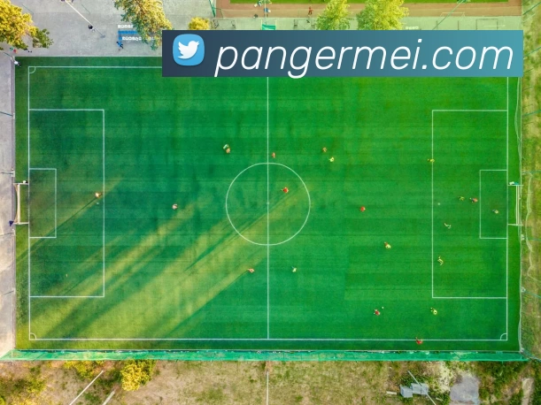 华体会体育发展历程